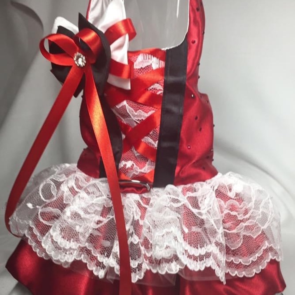 Handcrafted red satin doggy dress